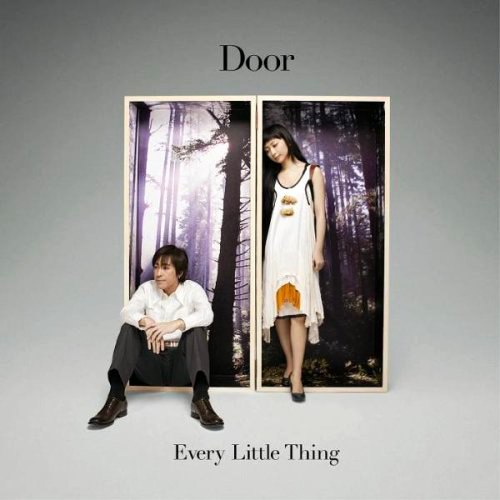 Door cover