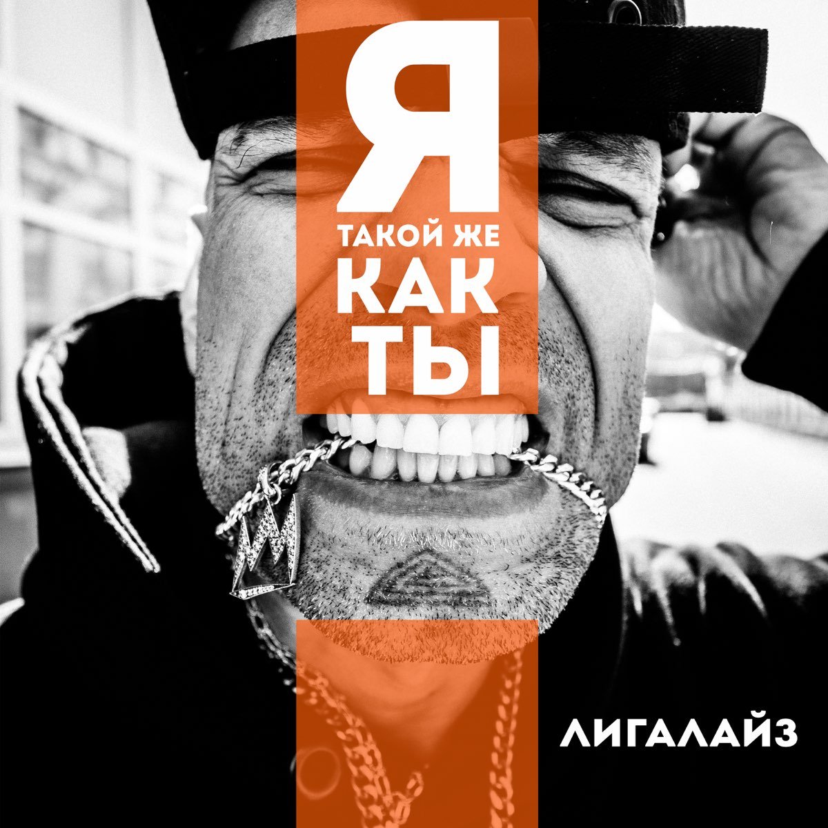 Image of Лигалайз