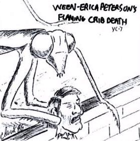 Erica Peterson's Flaming Crib Death cover