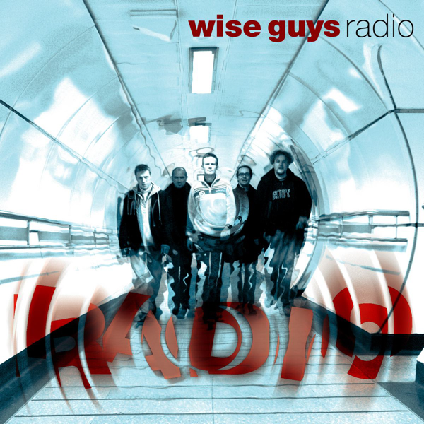 Radio cover