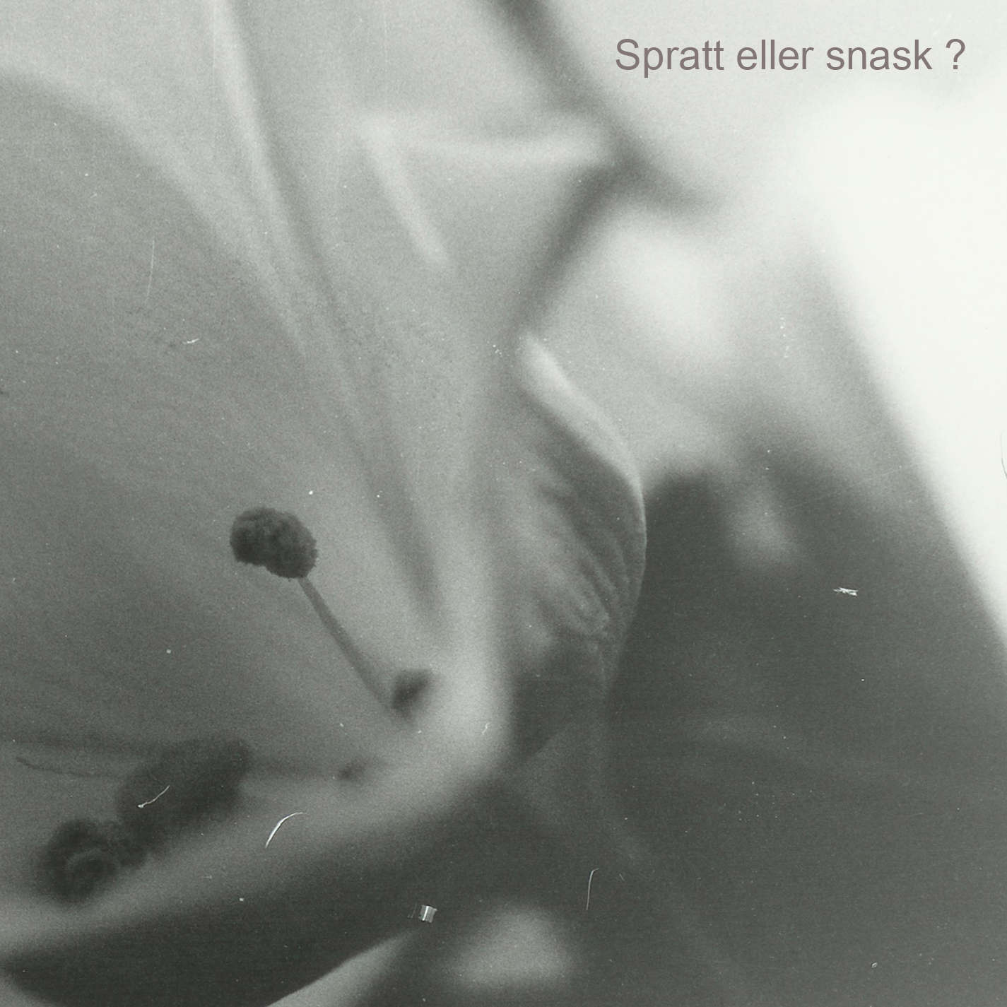 Spratt eller snask? cover