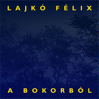A bokorból cover