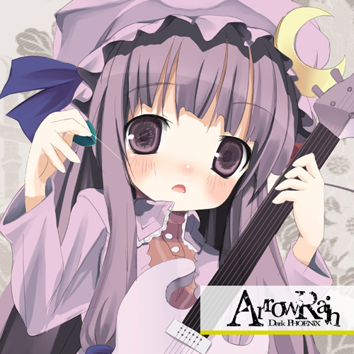 Arrow Rain cover