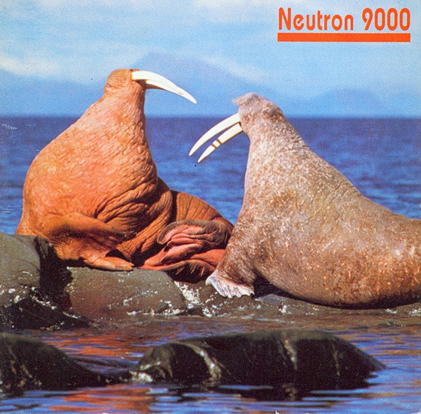 Walrus cover
