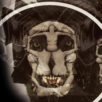 Presents Skull and Bones cover