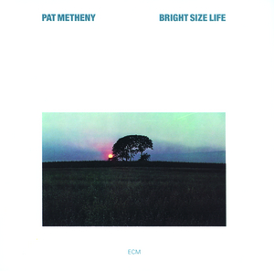 Bright Size Life cover