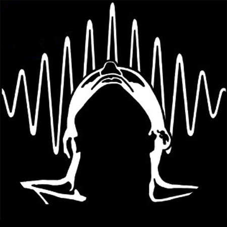 The Collapse of the Wave Function cover