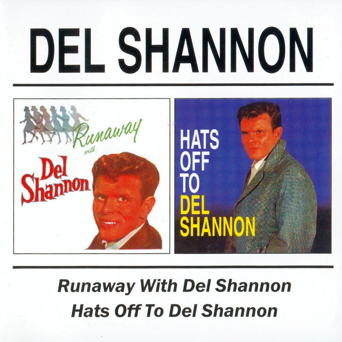 Del shannon перевод. Del shannon перевод. Runaway дел шеннон. Del shannon runaway with del shannon. Del shannon перевод.