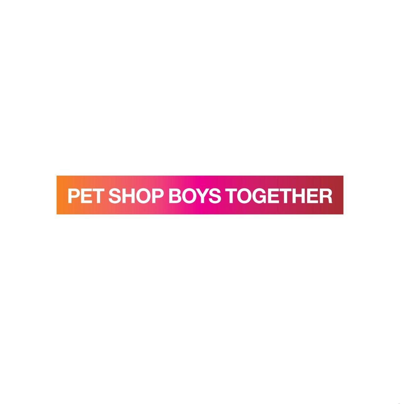 Pet shop boys текст