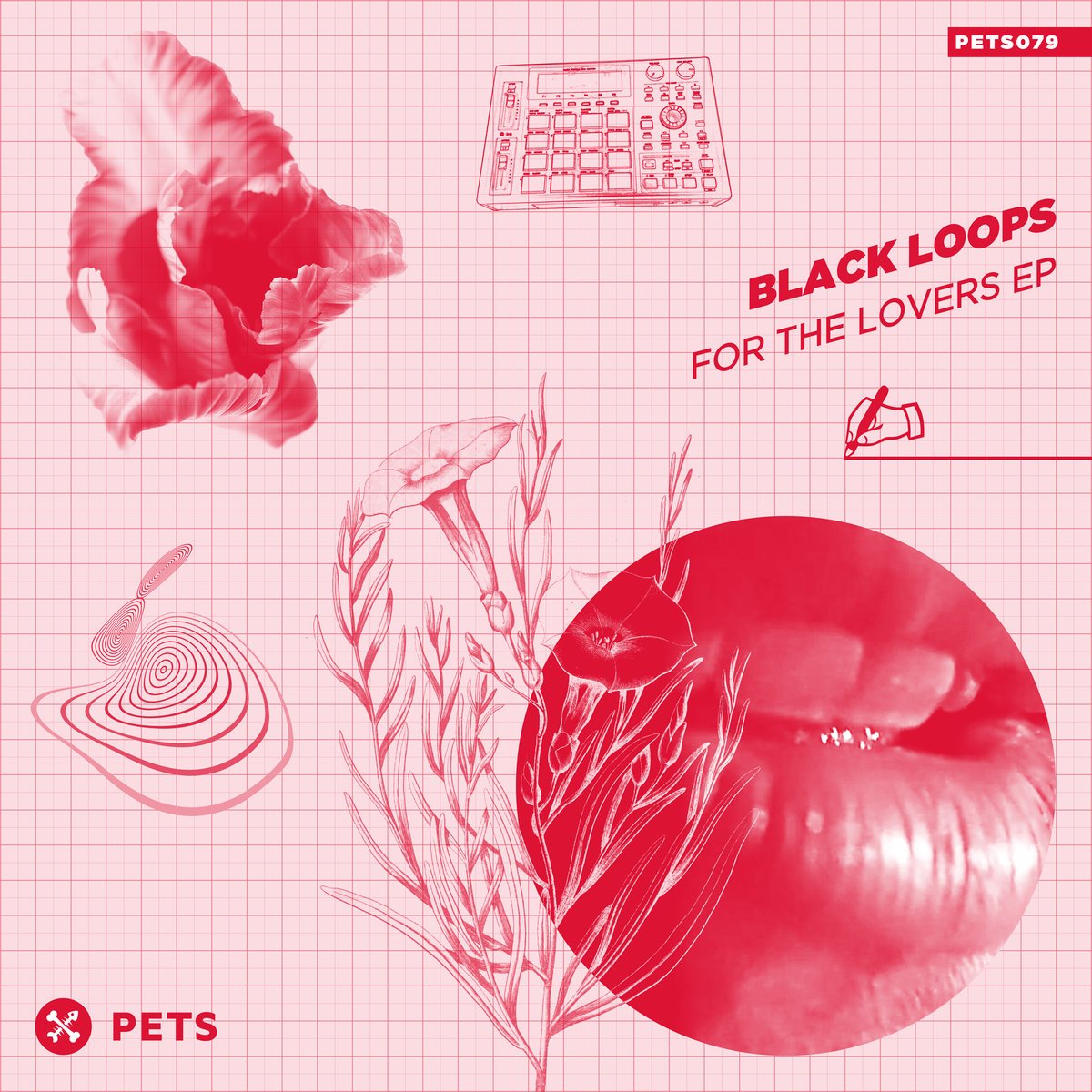 Black loops