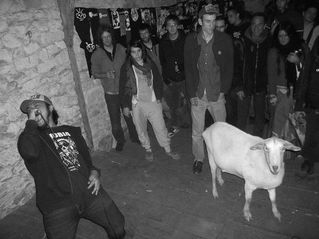 Wormrot Cover Image