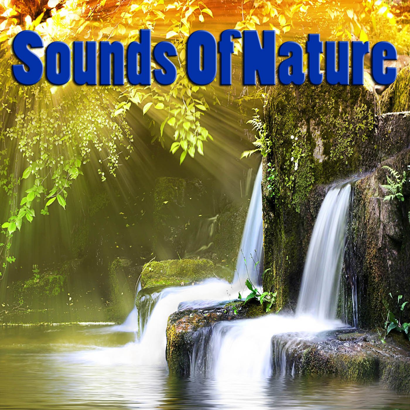 Natural last. Sounds of nature. V/A "Sounds of nature".
