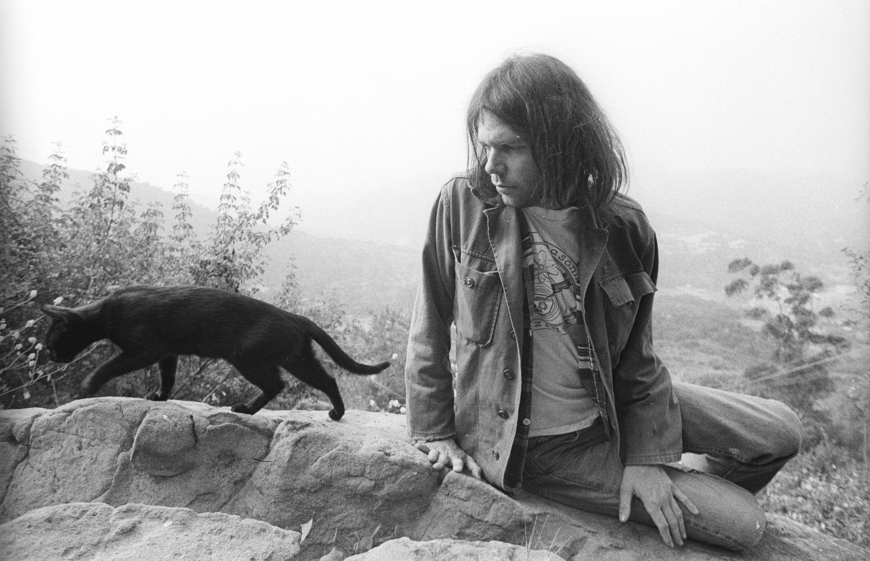 Neil Young music, videos, stats, and photos | Last.fm