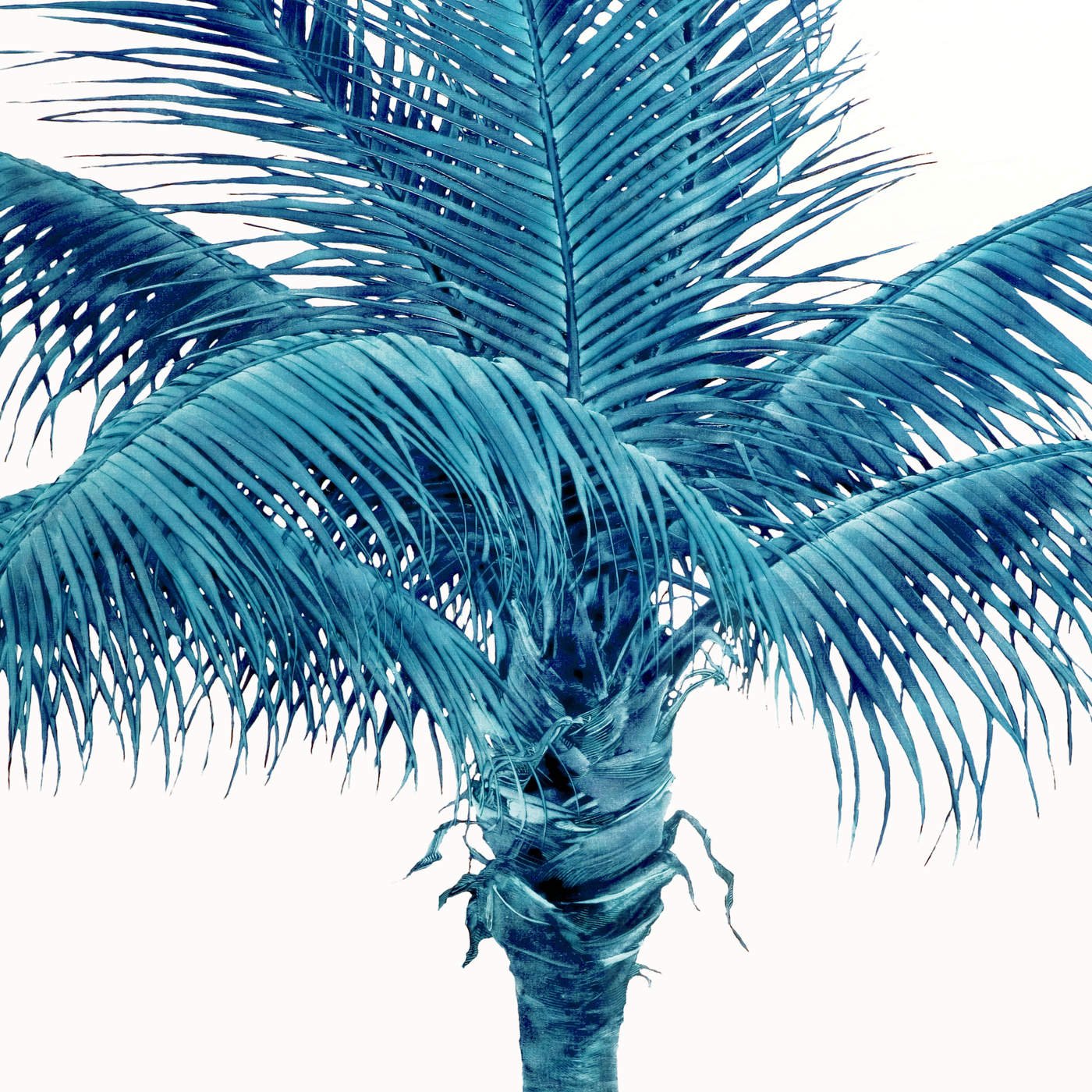 Ava — Famy | Last.Fm