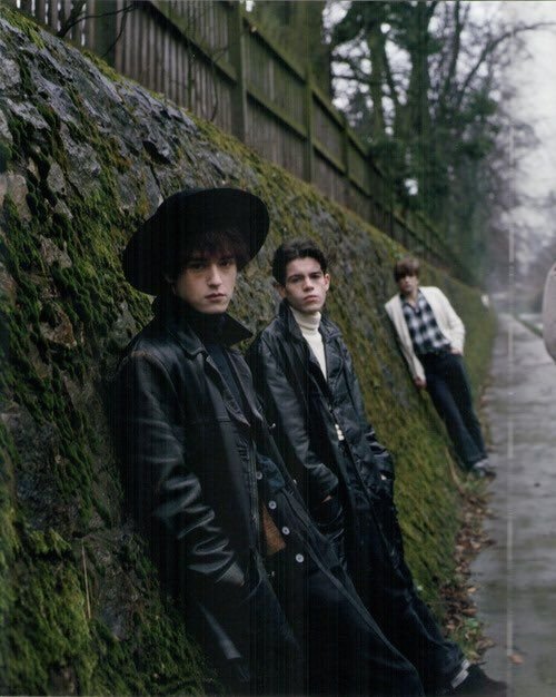 Felt music, videos, stats, and photos Last.fm