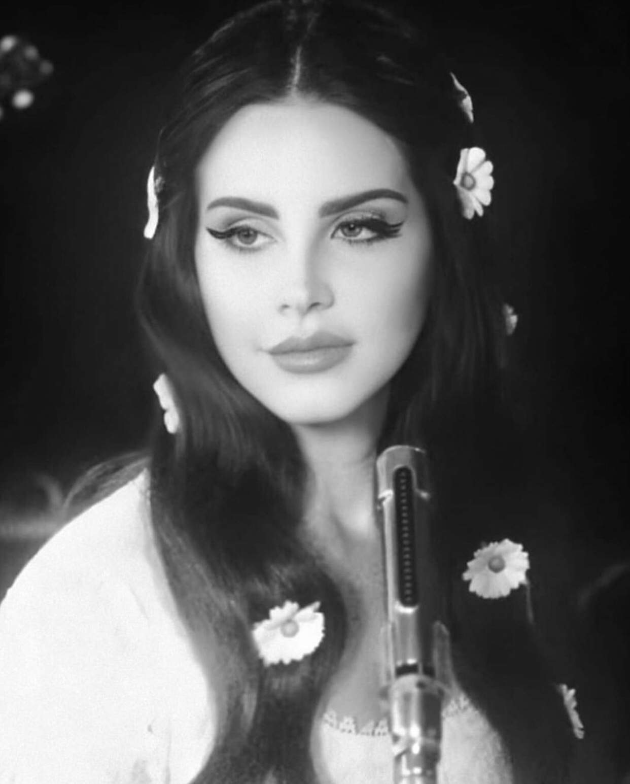 Lana del rey taco. Lana del rey taco