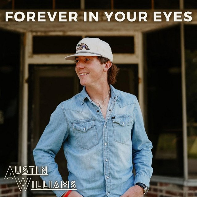 austin williams country singer net worth - Ilustrasi 3
