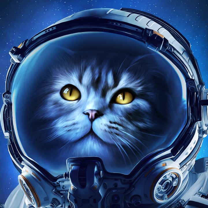 Кот аватар. Аватар кот. крутые коты. кот космонавт. космические коты.
