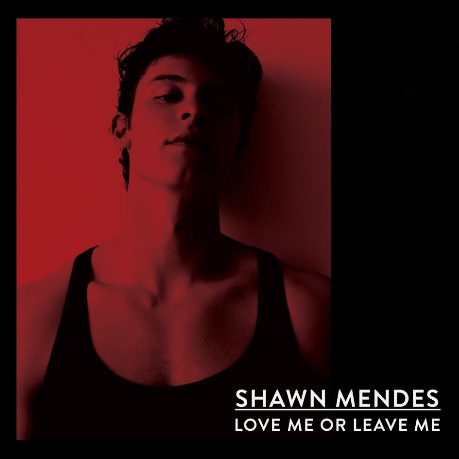 Shawn Mendes Love Me Or Leave Me Single Artwork 1 Of 1 Last Fm