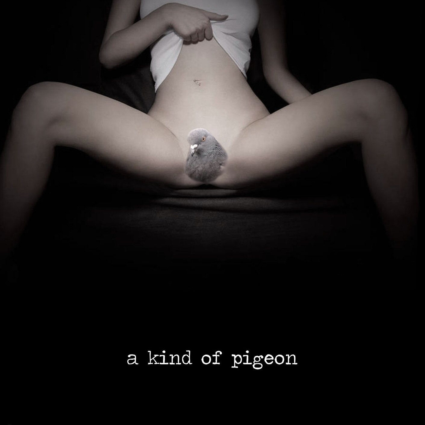 A kind of pigeon - a kind of pigeon Last.fm 