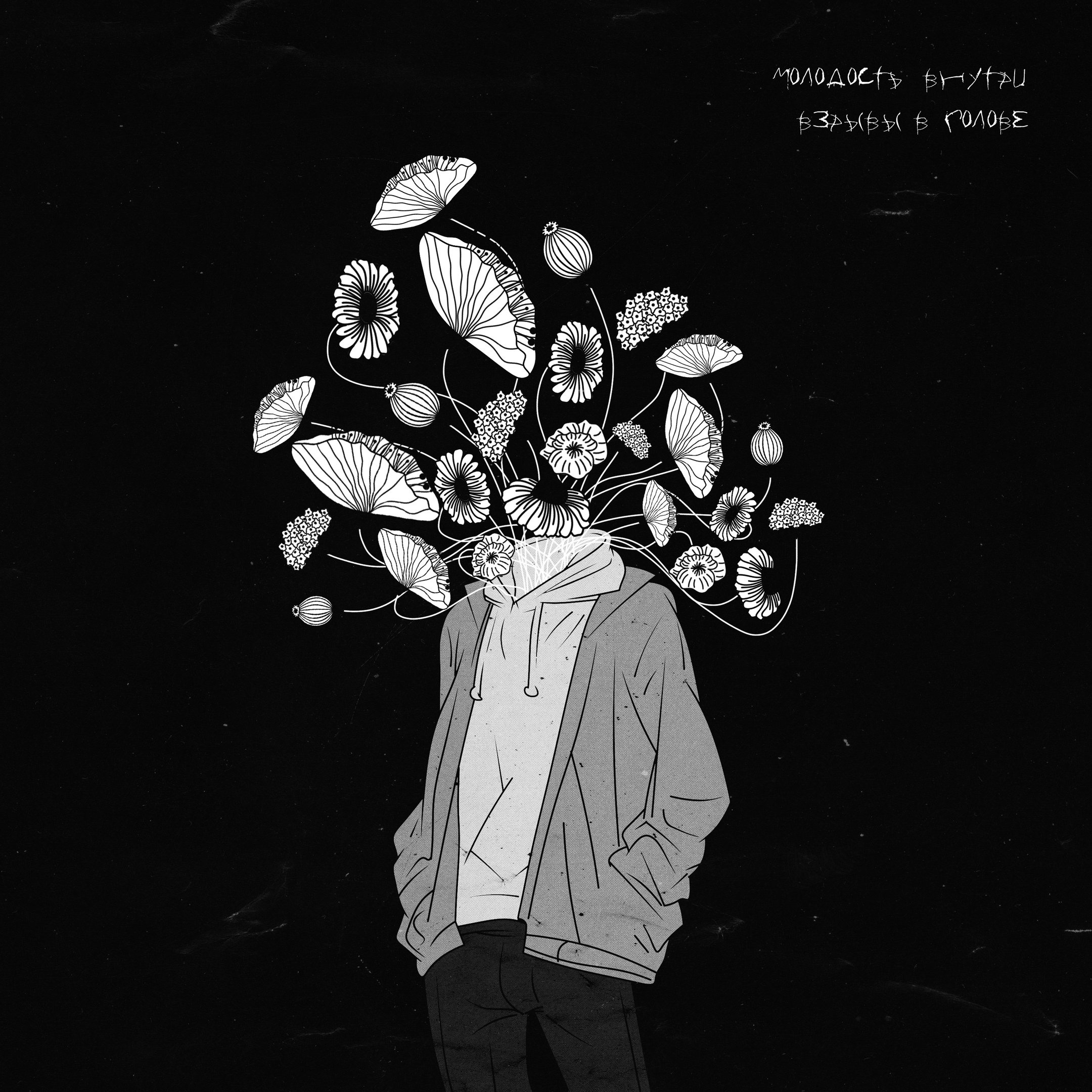 обои бродячие псы рампо. молодость внутри горе. молодость внутри горе. молодость внутри горе. молодость внутри стримы.