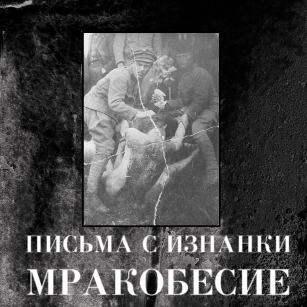 Книги мракобесие. Песня напоминающая мракобесие. Пикник "мракобесие и джаз". Песня напоминающая мракобесие. Песня напоминающая мракобесие.