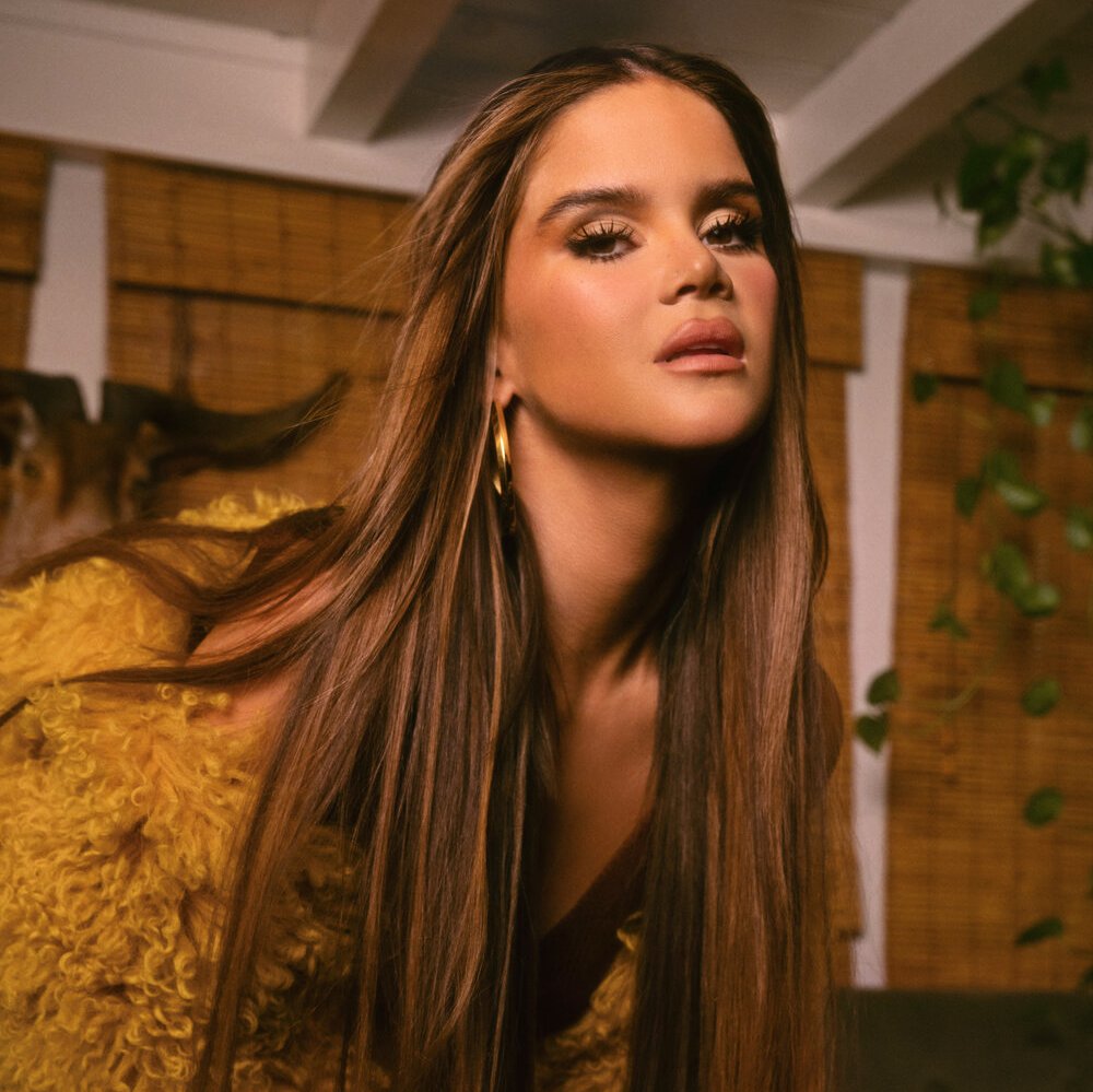 maren morris id be rich - Ilustrasi 3