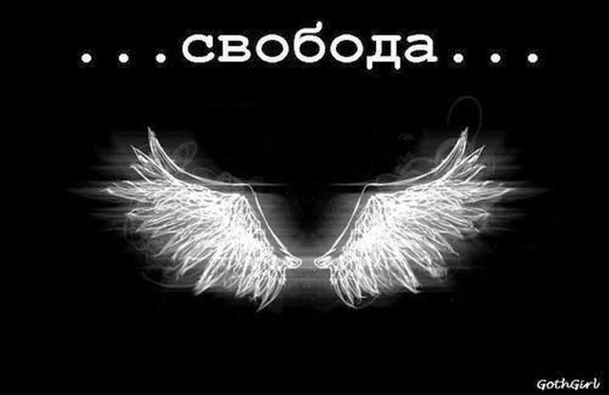 Свобода смешные картинки. Для постов свобода. А свобода она такая. А свобода она такая. Свобода прикол.
