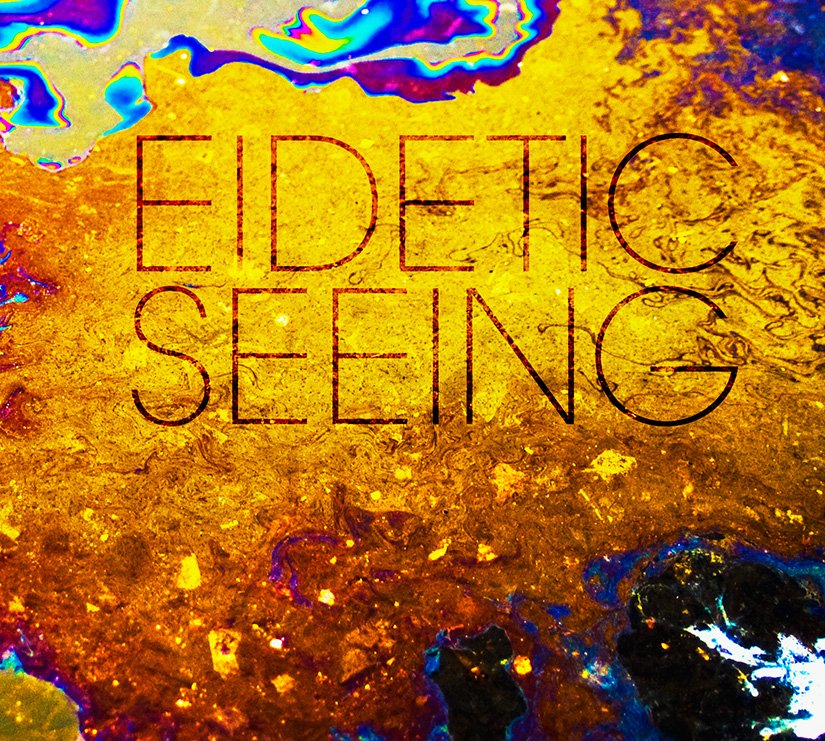eidetic meaning eidetic meaning
