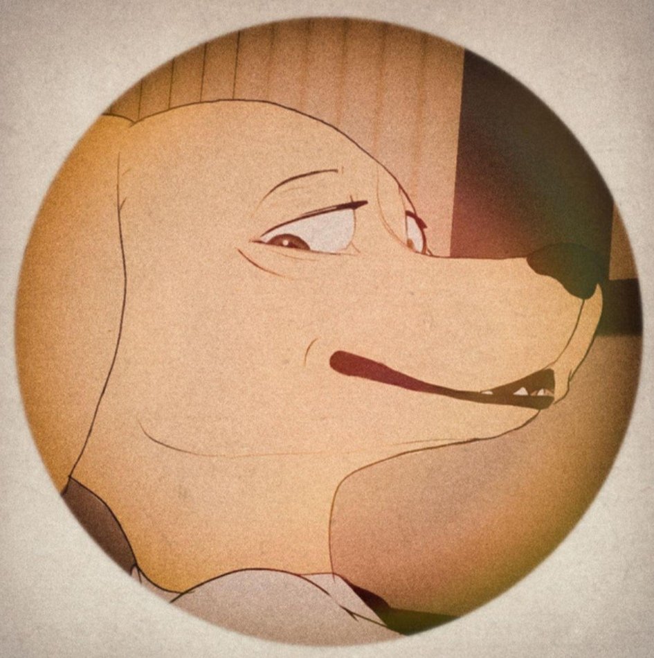 Backdoor Labrador — Montie the Bear | Last.fm