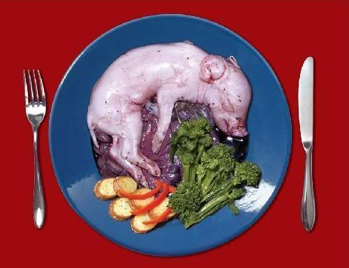 Фотографии МЯСОЕДЫ ДОЛЬШЕ ЖИВУТ