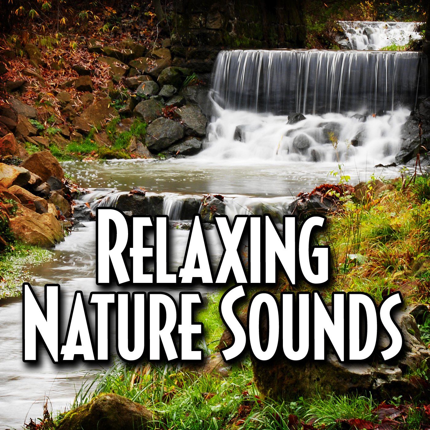 Breezy Summer Ambience for Relaxation with Nature Sound — Relax ...