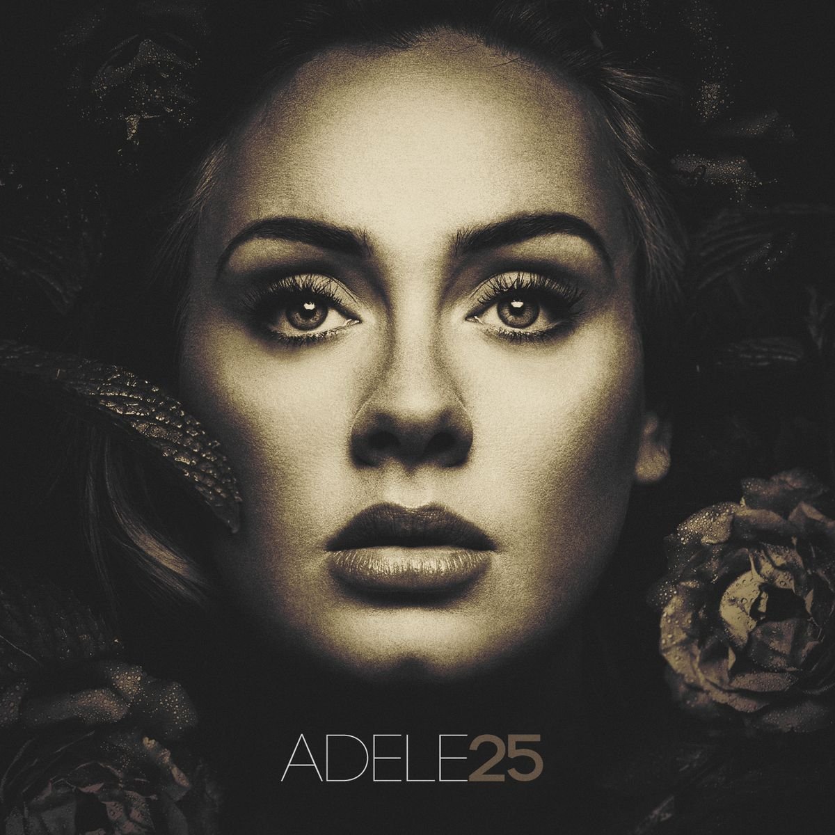 Adele 25 