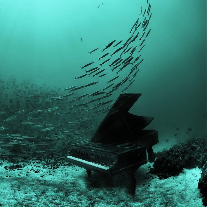 the ocean symphony in 2023 Beautiful locations nature, Concept photography, Fant