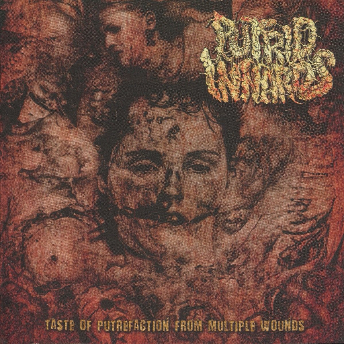 Taste Of Putrefaction From Multiple Wounds - Putrid Innards Last.fm.