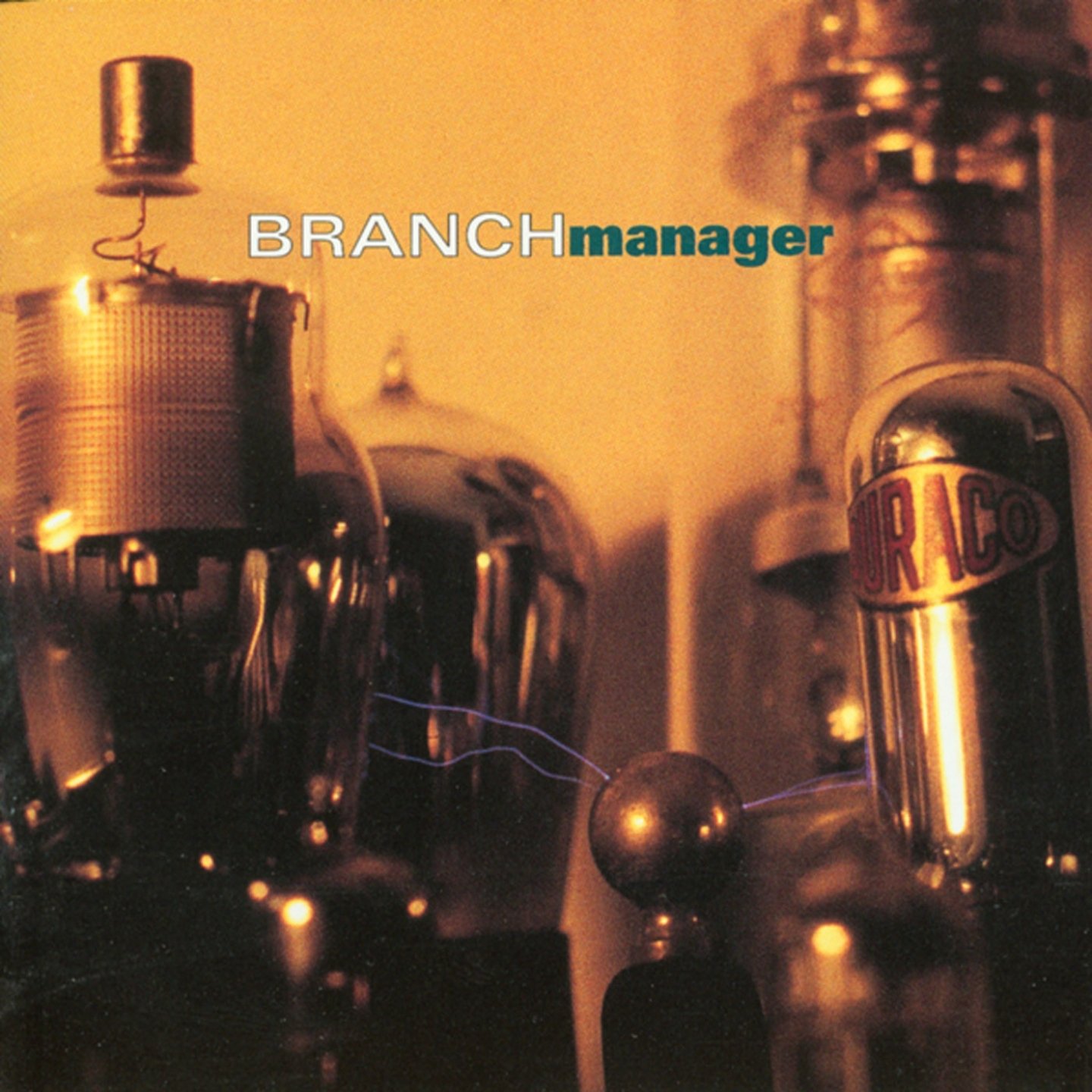 Branch management. Branch management