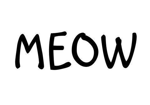 Meow Share