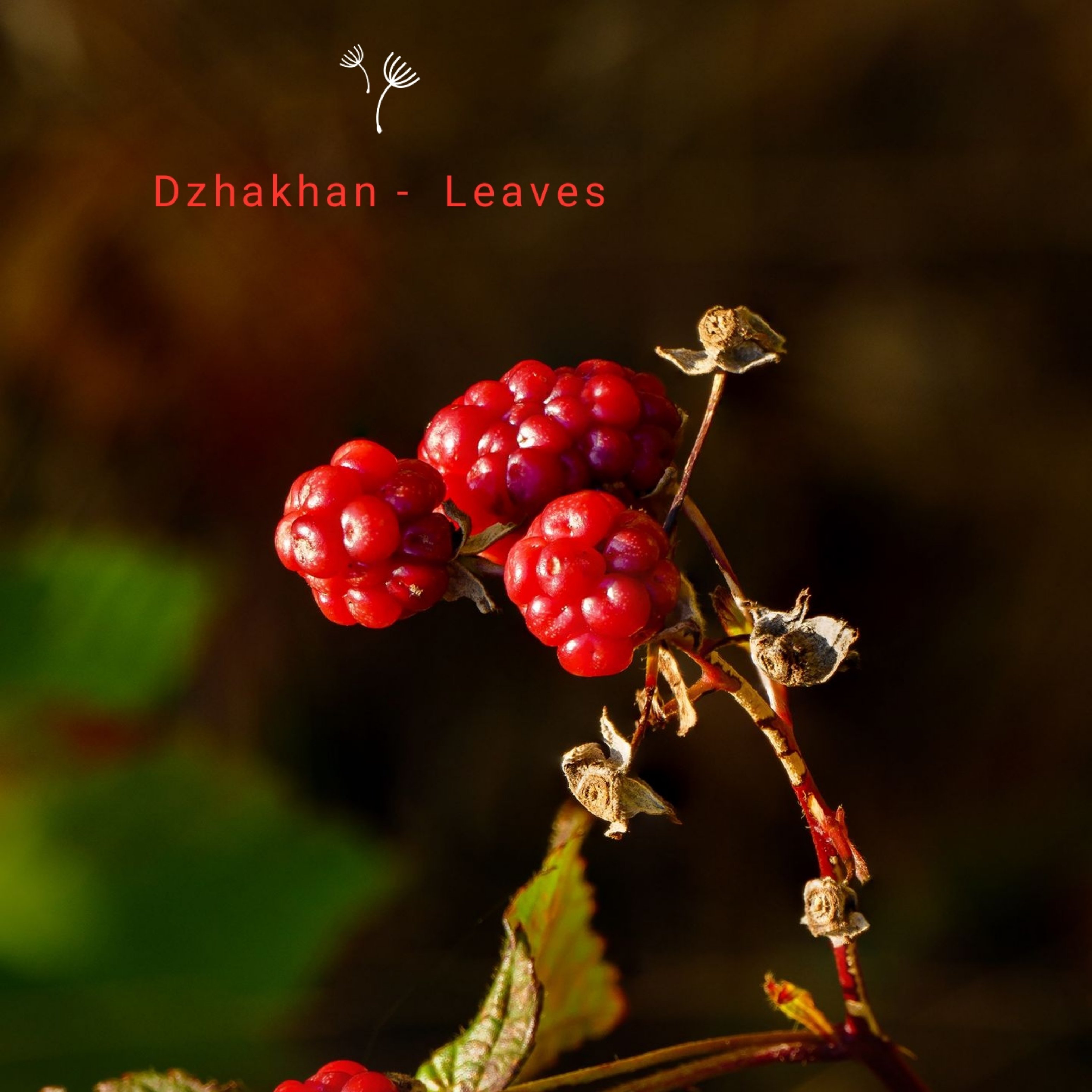 Как выглядят листья ягод Soon - Dzhakhan Last.fm