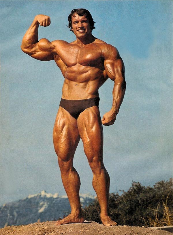 Arnold Schwarzenegger - Wikipedia