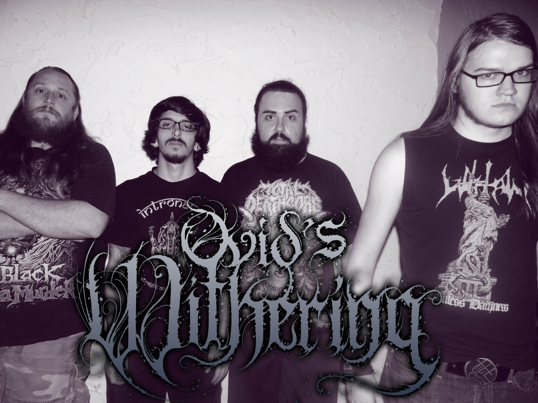 Withering waves interactive map. The withering. ovid&#039;s withering. рок 2025. withering wawwe.