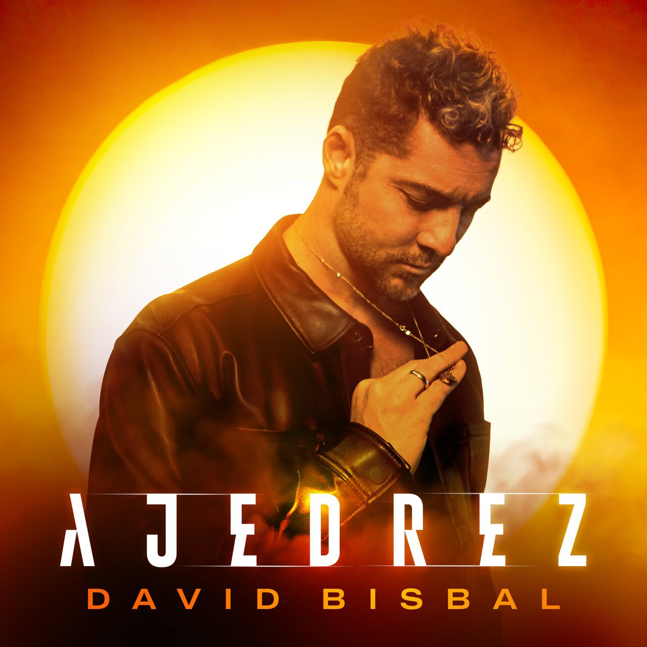 David Bisbal: albums, songs, playlists