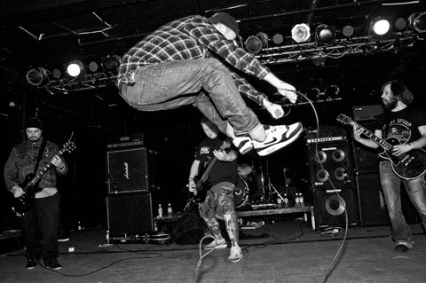 Rot In Hell Music Videos Stats And Photos Last Fm