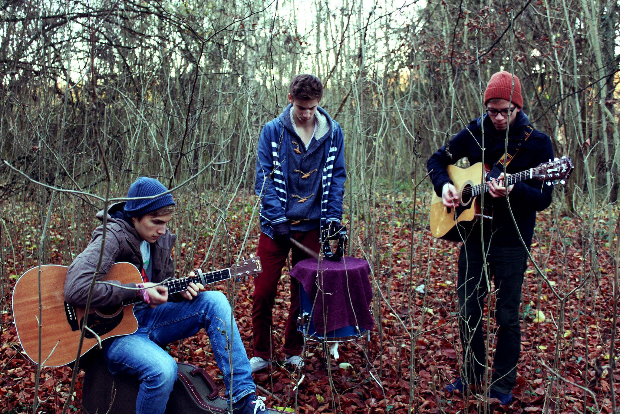 Песня trees. Olive Tree певец. My last Tree группа. Деревьев исполнитель. Биография Trees (Music Group).