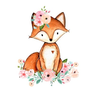 Flower foxes