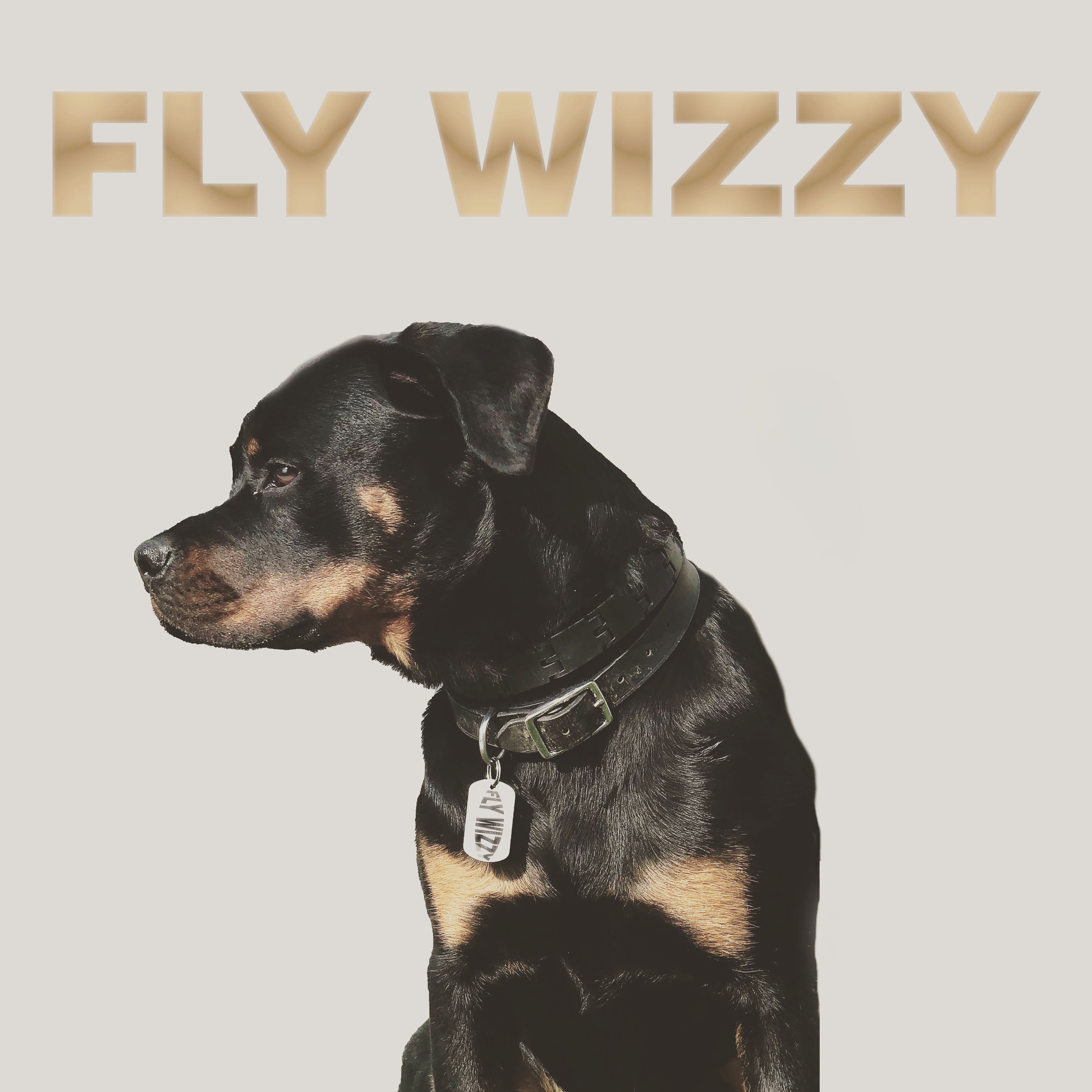 My dog can fly. Radio and Dog. Dog Fly. Dog on Radio. Майк дог слушать.