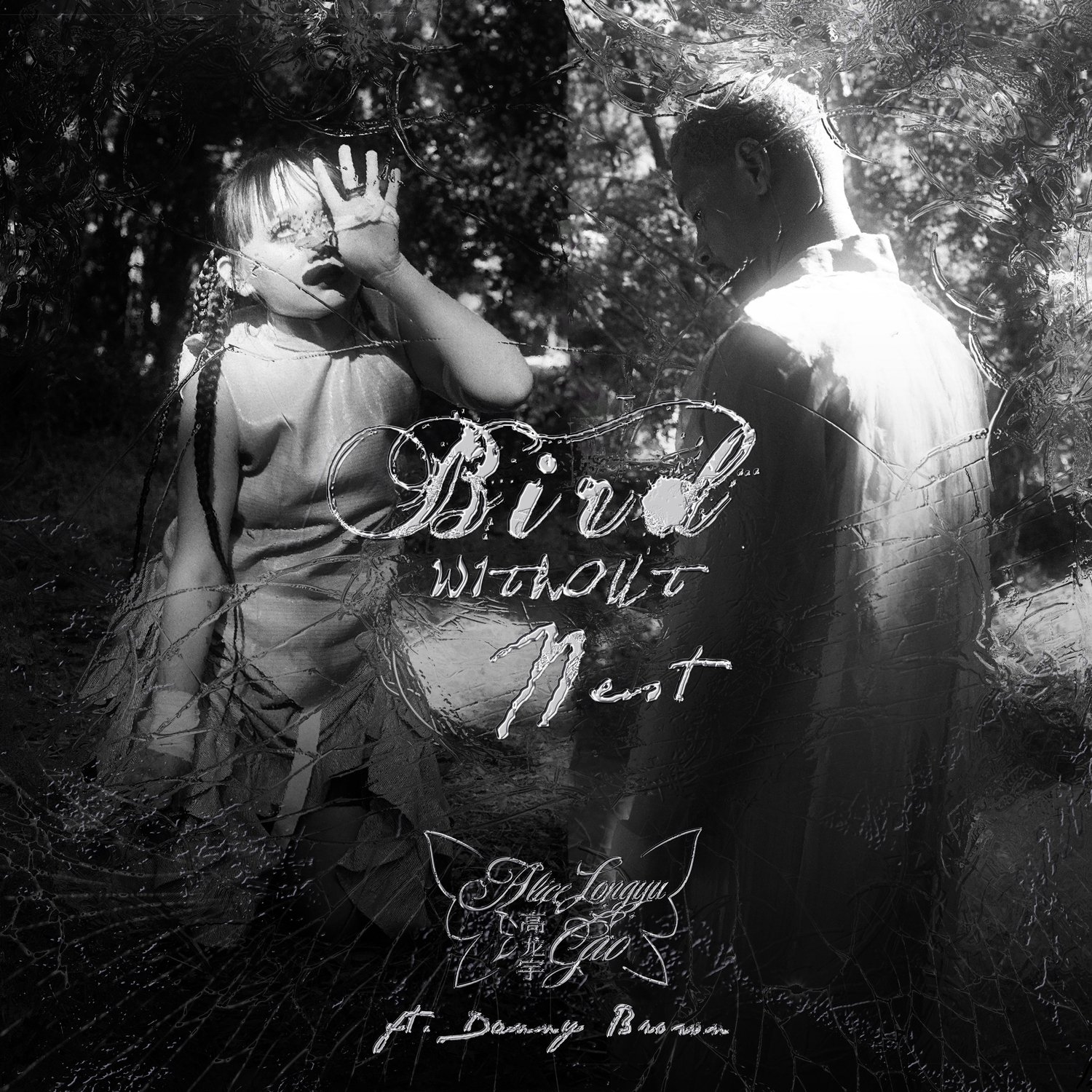 Bird W/O Nest (feat. Danny Brown) — Alice Longyu Gao Last.fm