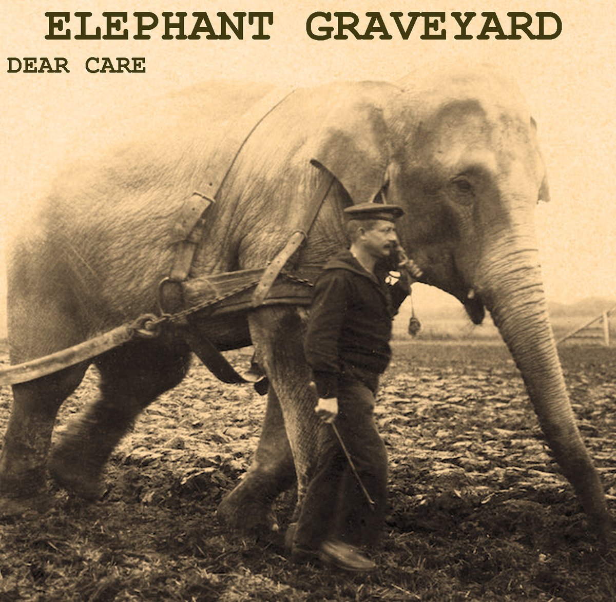 Dear followers today i offer you nothing. Care dear. севиб севилмаганлар картинка. Good morning my dear love. Hello dear friend.