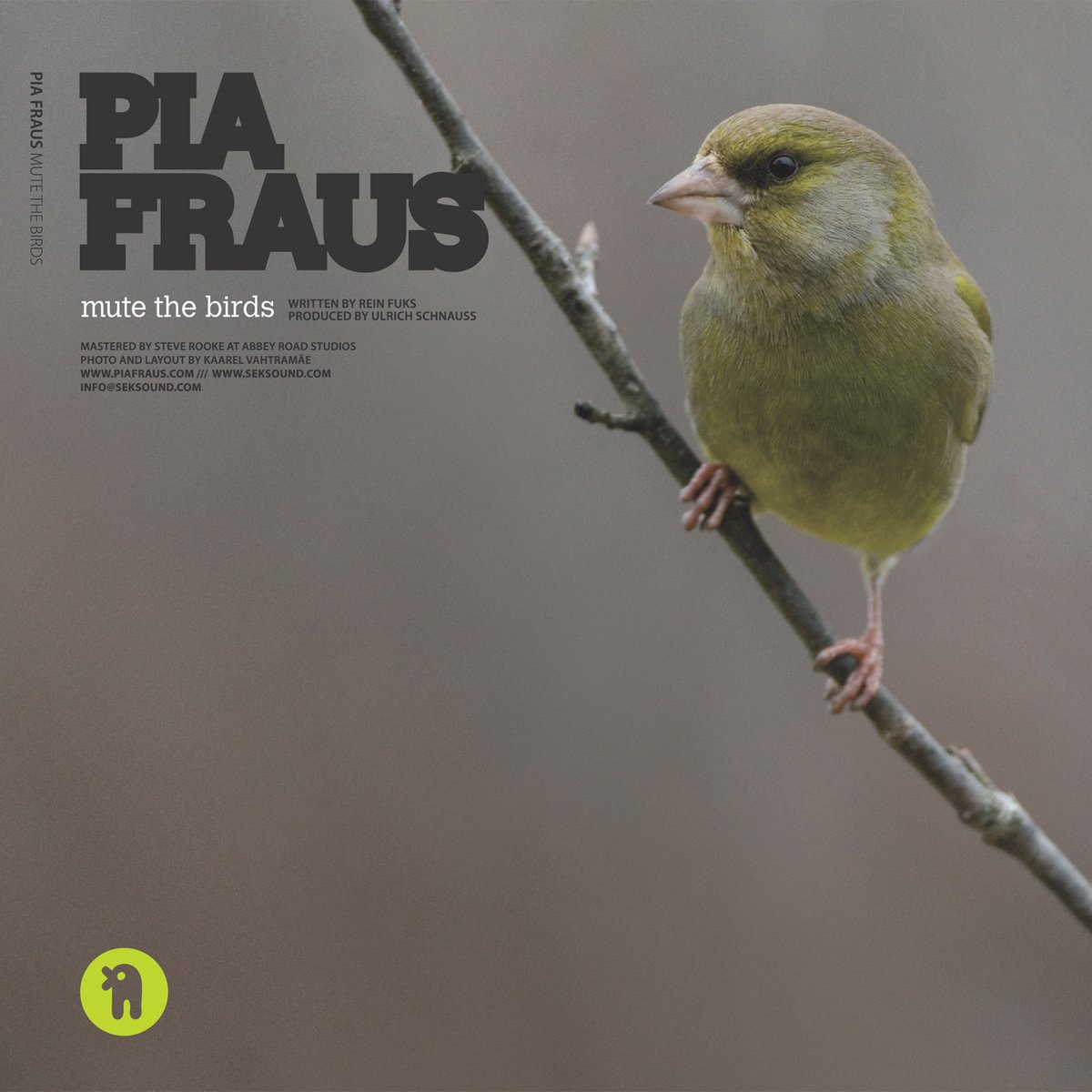 Listen the birds are. Listen the birds sing. Little bird can you. Дрозд звук пения. Манок bird sing.