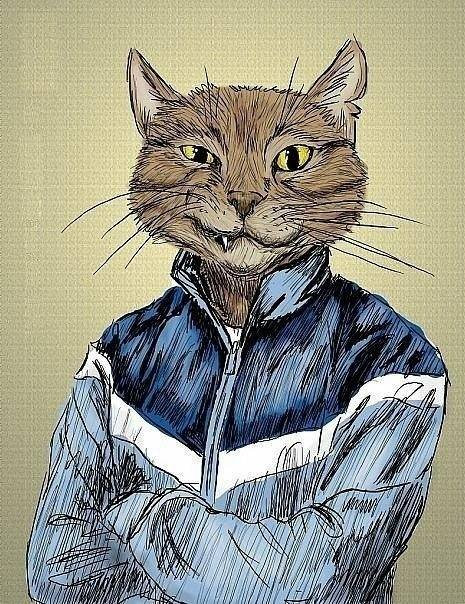 Человек кошка