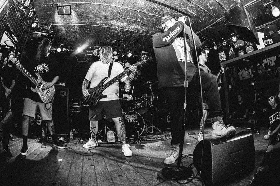 No Zodiac music, videos, stats, and photos | Last.fm